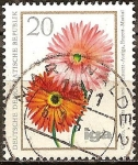 Stamps Germany -  iga - la cría flor(Gerbera, Gerbera jamesonii)DDR.