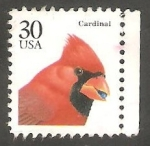 Sellos de America - Estados Unidos -  1954 - Ave Cardenal