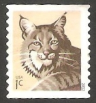 Stamps United States -  4495 - Un lince