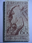 Sellos de Europa - Checoslovaquia -  Campeonato de Europa en Odbíjené .- Praha 1958