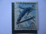 Stamps : Europe : Czechoslovakia :  I. Celostatni Spartakiada.