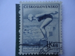Sellos del Mundo : Europa : Checoslovaquia : Kazdy Obcan Plavcem.