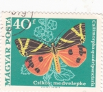 Sellos de Europa - Hungr�a -  mariposa