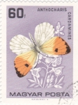 Stamps Hungary -  mariposa