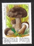 Stamps Hungary -  Mushrooms (1984)