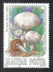 Stamps Hungary -  Mushrooms (1984)