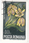 Stamps Romania -  flores-