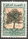 Stamps Iraq -  270 - Naranjo