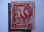 Sellos de Africa - Kenya -  Uganda - Kenya