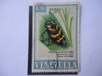 Sellos de America - Venezuela -  Candelilla de la Caña-Aeneolamia Varia (Ataca a la Caña)