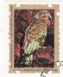 Stamps Equatorial Guinea -  ave