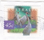 Sellos de Europa - Australia -  aves- gruas erolga