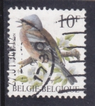 Stamps Belgium -  ave