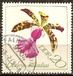 Stamps Germany -  Orquídeas,(Aclandiae Cattleya)DDR.