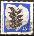 Stamps Germany -  Colecciones paleontológicas del Museo de Historia Natural de Berlín-DDR.