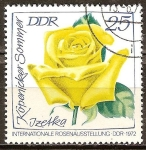 Stamps Germany -  Exposición Internacional de Rosas,1972 en DDR-Izetka Köpenicker verano.