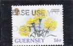 Stamps United Kingdom -  flores- GUERNSEY