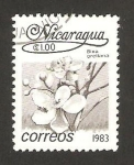 Stamps Nicaragua -  1263 - flor bixa orellana
