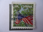 Stamps United States -  Bandera - USA forever