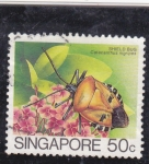 Sellos de Asia - Singapur -  insecto