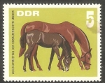 Stamps Germany -  999 - Caballo de carreras