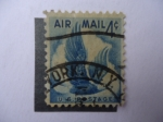 Sellos de America - Estados Unidos -  Air Mail - USA-
