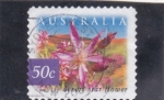 Sellos de Oceania - Australia -  flor estrella del desierto