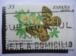 Stamps Spain -  Ed:3694 - Museo nacional de Ciencias Naturales