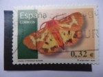 Stamps Spain -  Ed:4469 - Fauna:Hyphoria Dejeani.