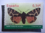 Stamps Spain -  Ed:4533 - Fauna: Artimelia Latreillei.