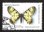 Sellos de Europa - Rusia -  Mariposa