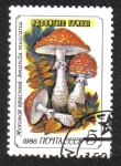 Stamps Russia -  Hongos