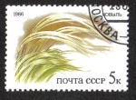 Stamps Russia -  Plantas de Las Estepas Rusas