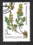 Stamps Russia -  Plantas medicinales Protegidas en Siberia