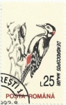 Stamps Romania -  PÁJAROS. PICO PICAPINOS Dendrocopos major. YVERT RO 4069.