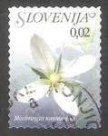 Stamps : Europe : Slovenia :  558 - Flor moehringia tommasinii 