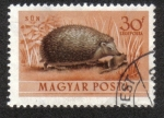 Stamps Hungary -  Animals (1953)