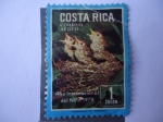 Stamps Costa Rica -  Año Internacional del Niño 1979