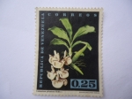Stamps Venezuela -  Catasetum Pileatum , Rchb. F.