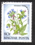 Stamps Hungary -  Violetas