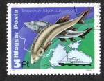 Stamps Hungary -  Protección ambiental de los ríos y los mares