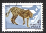 Stamps Hungary -  Fauna of Africa (1981)