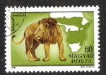 Stamps Hungary -  Fauna of Africa (1981)