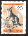 Stamps Hungary -  Zoologíco de Budapest
