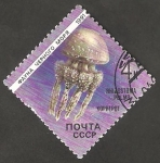 Stamps Russia -  5818 - Fauna del Mar Negro, rhizostoma pulmo