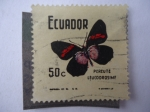 Stamps Ecuador -  PereuteLeucodrosime