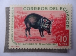 Stamps : America : Ecuador :  IV Centenario de la Fundación de la ciudad de Tena 1560-1960 - Huangana-(Pecari Tajaco)