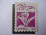 Stamps : America : Nicaragua :  Laelia Spec.