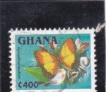 Stamps Ghana -  mariposa