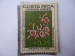 Sellos de America - Costa Rica -  Flora: Tricopilia de Olor - Trichopilia Suavis - Prp-Biblioteca Universitareia.
